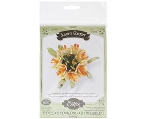 Sizzix Thinlits Dies 5/Pkg-Clivia Flower