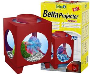 Tetra Betta LED Projector Bordeaux 1.8L Tank