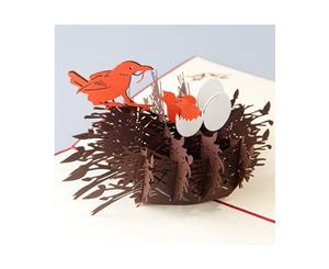 3d Pop Up Birds Nest Handmade Greeting Card for Mother's Day or Any Other Occassion.