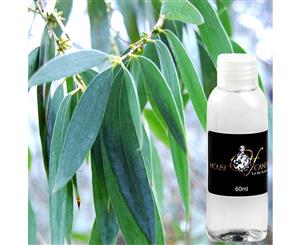 Australian Eucalyptus Reed Diffuser Fragrance Oil Refill 50ml FREE BONUS Reeds