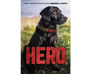 Hero  Rescue Dog