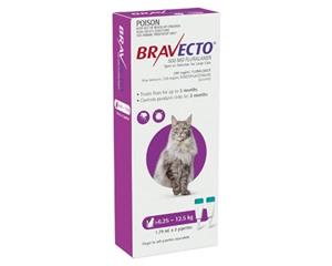 Bravecto Spot On Large Cat Purple 6.25 - 12.5kg 2 Pack