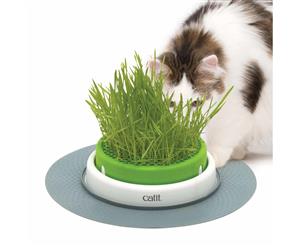 Catit 2.0 Senses Grass Planter