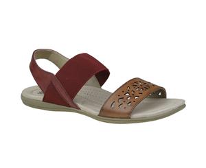 Planet Shoes Womens Comfort Casual Sandal Yum in Alpaca Brown