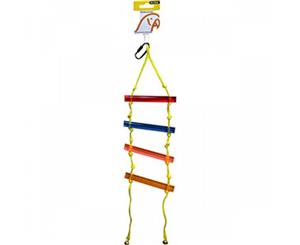 Avi One Parrot Toy Acrylic Ladder