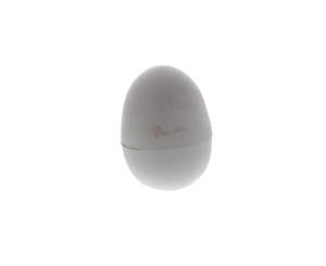 Nesting Eggs Plastic Decrease Egg Breakage Bird Aviary Health Fake Egg Chicken