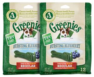 2 x Greenies Canine Dental Treats Regular Bursting Blueberry 340g