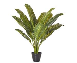 Rogue Plastic Fabric Wire Cement Artificial Dieffenbachia Plant-Garden Pot