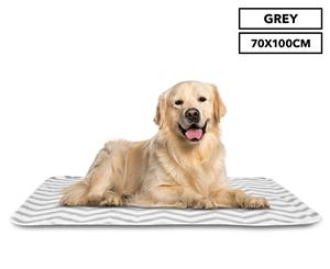 Trendy Pets 70x100cm Polar Fleece Pet Blanket - Grey Chevron