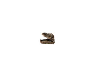 Petworx Croc Head Air Operated Dinosaur Head Ornament 11X7X8Cm