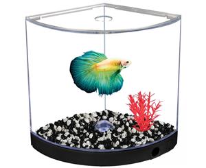 Betta Fighting Fish Black Arc Tank 1.2L Beginners tank by Aqua One