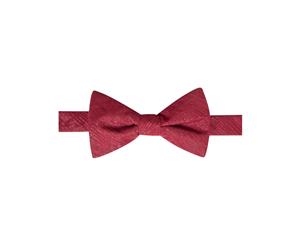 Ryan Seacrest Distinction Mens Shimmer Pre-Tied Bow Tie