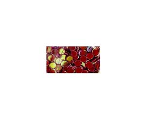 Tonic Studios - Nuvo Pure Sheen Confetti 1oz - Fiery Phoenix Circles