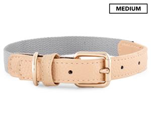 Dudley's World Of Pets Medium Dog Collar - Grey