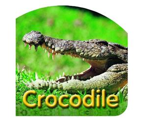 Steve Parish Board Book  Crocodile